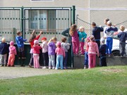 Sorbon - pes fotbalista